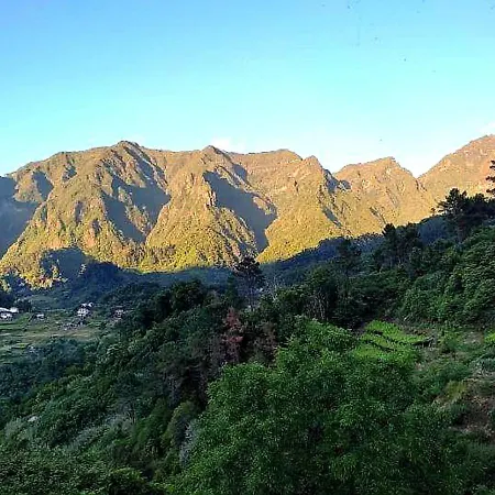Vvip Madeira *