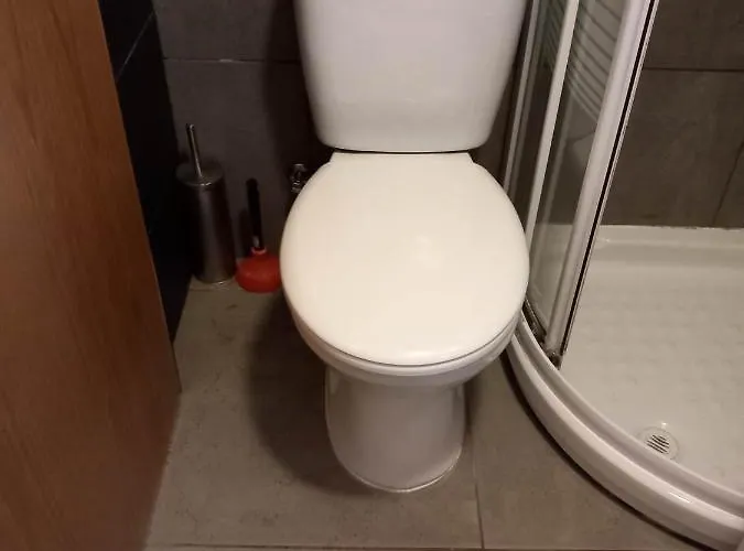 Vvip Madeira São Vicente